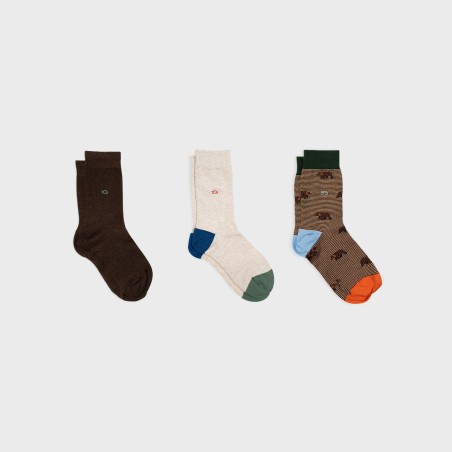 Set of men's socks